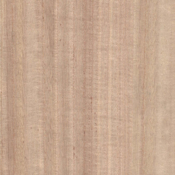 Wood Veneer Natural Palette-behang-Greenland-Primary Colour-Meter (M1)-N158NV1014-Selected Wallpapers