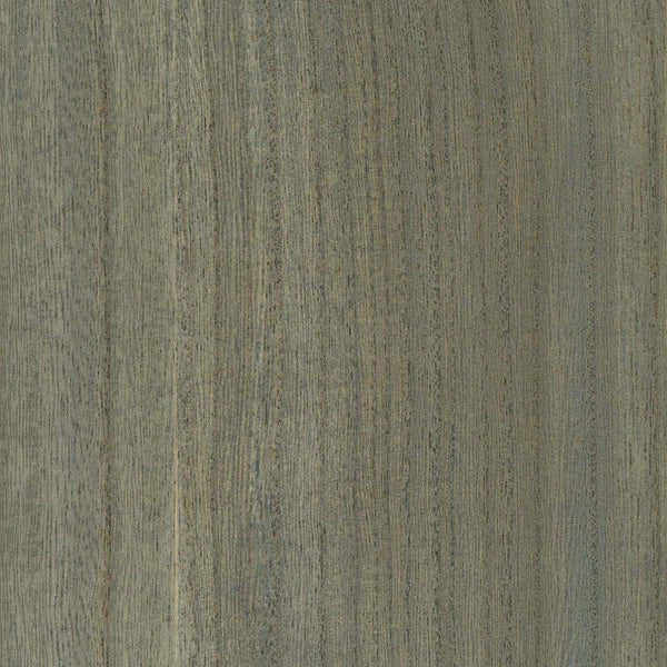 Wood Veneer Natural Palette-wallpaper-Greenland-Forget me Not-Meter (M1)-N158NV1035-Selected Wallpapers