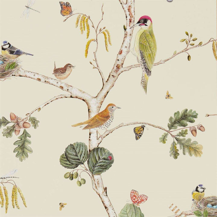 Woodland Chorus-behang-Tapete-Sanderson-Cream/Multi-Rol-215703-Selected Wallpapers