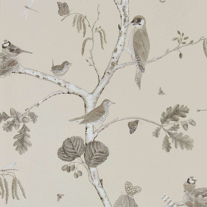 Woodland Chorus-behang-Tapete-Sanderson-Sepia/Neutral-Rol-215704-Selected Wallpapers