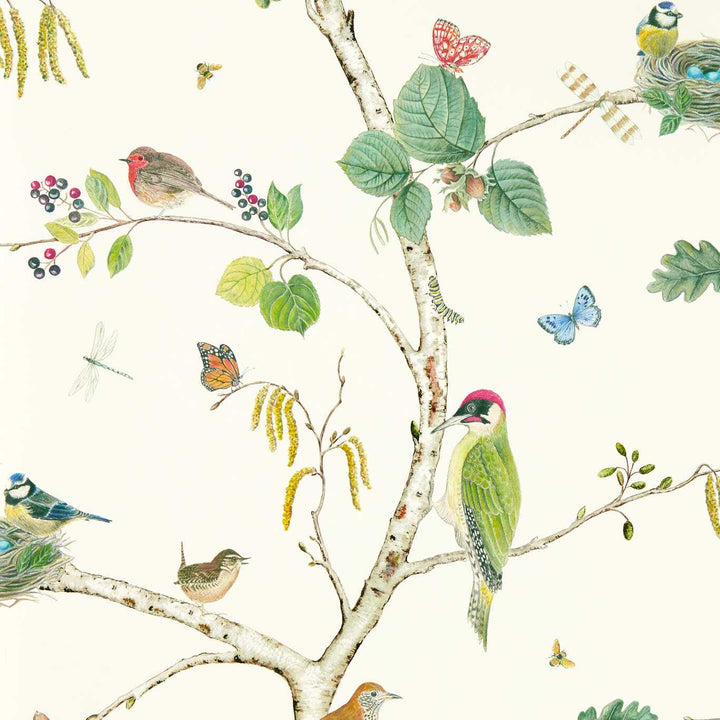 Woodland Chorus-behang-Tapete-Sanderson-Botanical/Multi-Rol-217230-Selected Wallpapers