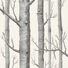 Woods-wallpaper-Cole & Son-Black-Roll-69/12147-Selected Wallpapers