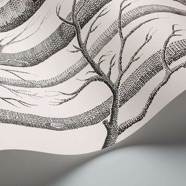 Woods-wallpaper-Cole & Son-Selected Wallpapers