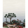 Yucca-Behang-Nobilis-Selected Wallpapers