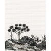 Yucca-Behang-Nobilis-Selected Wallpapers