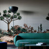 Yucca-Behang-Nobilis-Selected Wallpapers
