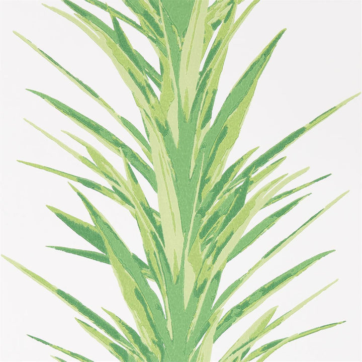 Yucca-behang-Tapete-Sanderson-Green-Rol-216649-Selected Wallpapers