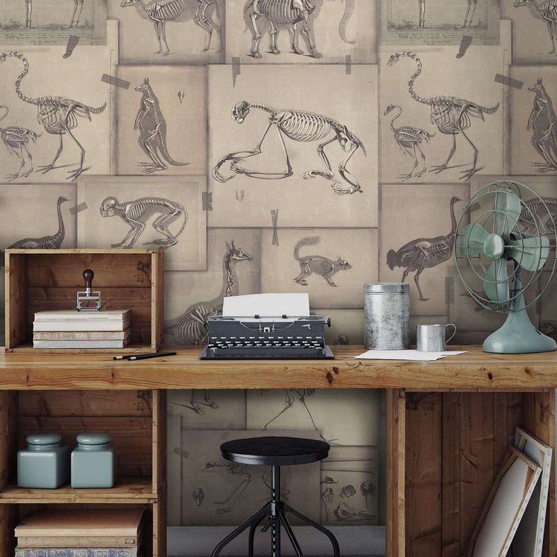 Zoo Archaeology papel pintado de Mind the Gap