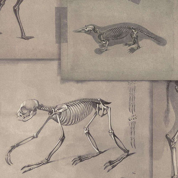 Zoo Archaeology-wallpaper-Mind the Gap-Bruin/Grijs-300 cm (standaard)-WP20236-Selected Wallpapers