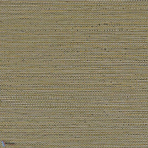 Zostera-Wallpaper-Casamance-Kaki-Roll-75972242-Selected Wallpapers